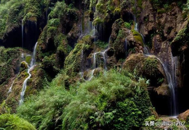 无尽战区·觉醒